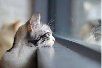 Туман і ожеледиця на вихідних: якою буде погода на Вінниччині 20–21 грудня