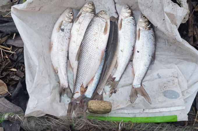 На Вінниччині спіймали порушницю за вилов червонокнижної риби