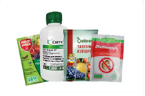 Сад та город у сучасному форматі: як підготуватися до нового сезону