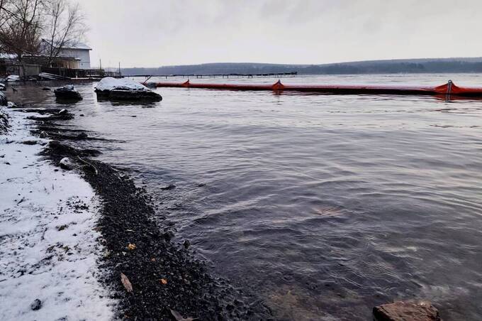 Екологи перевірили Ладижинське водосховище після забруднення нафтопродуктами