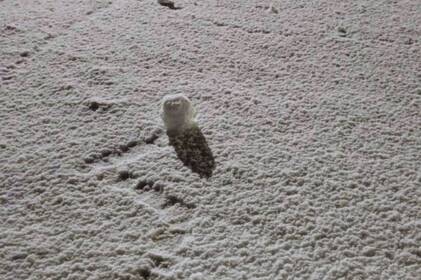 Природний арт-об’єкт: вітер «скрутив» сніг у рулони на Вінниччині