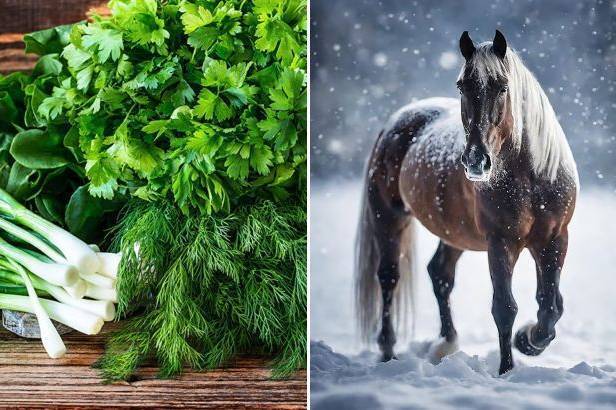 Що поставити на святковий стіл, щоб задобрити Коня у 2026 році