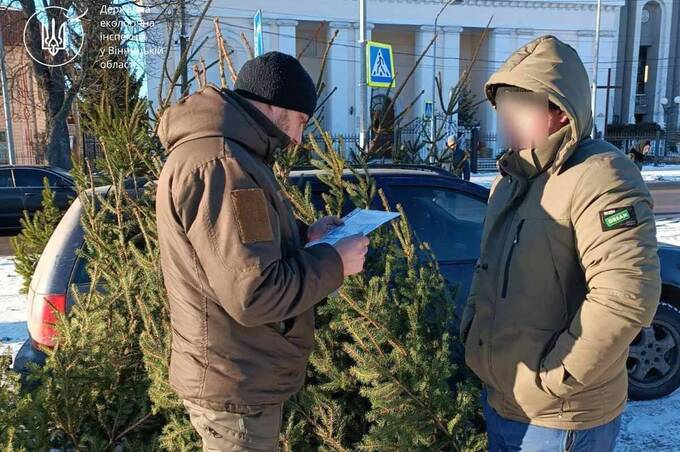 На Вінниччині викрили незаконний продаж новорічних ялин і сосен