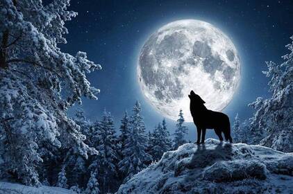 Повня Вовка 3 січня 2026 року: що вона принесе кожному знаку зодіаку