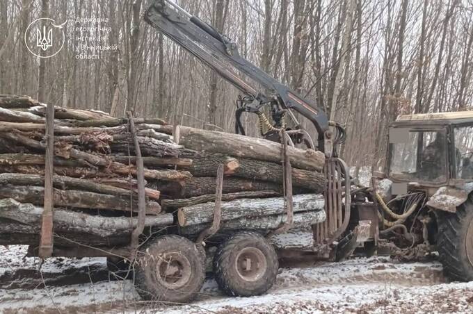 На Вінниччині зафіксували незаконне вивезення деревини з лісництва