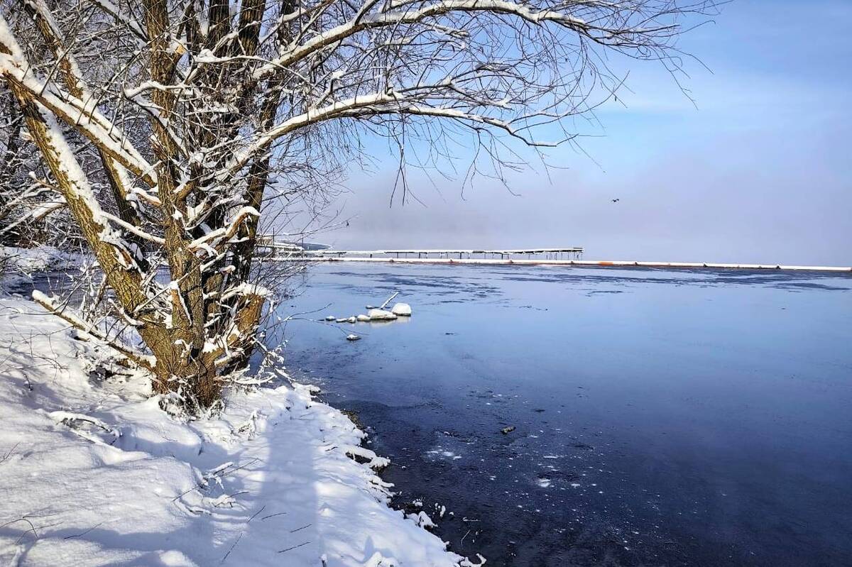 Яка ситуація з нафтозабрудненням Ладижинського водосховища: результати нових досліджень