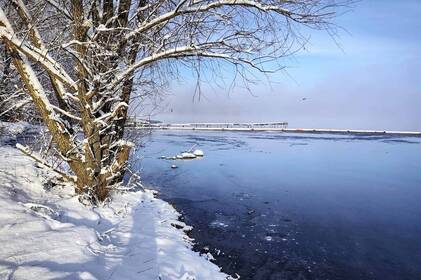 Яка ситуація з нафтозабрудненням Ладижинського водосховища: результати нових досліджень