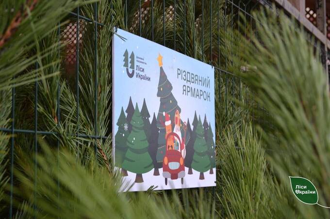 Понад 7 тисяч ялинок за місяць: підсумки різдвяних ярмарків на Вінниччині