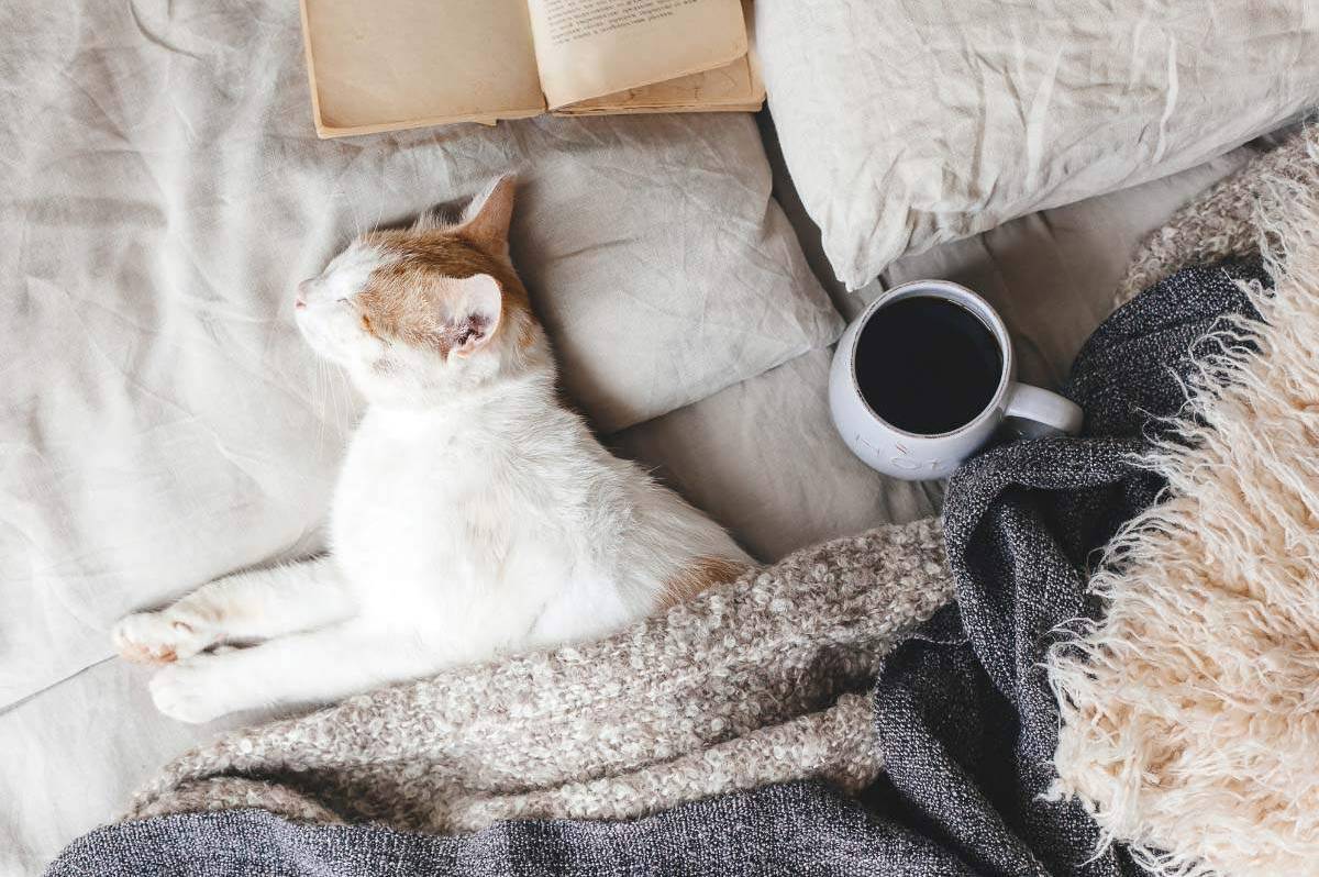 Морози без паузи: якою буде погода на Вінниччині 11–12 січня