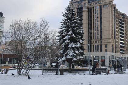 Арктичний холод на Вінниччині: синоптики попереджають про морози до -20°