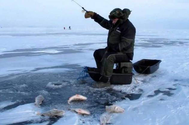 Екоінспектори зафіксували порушення правил рибальства на Вінниччині