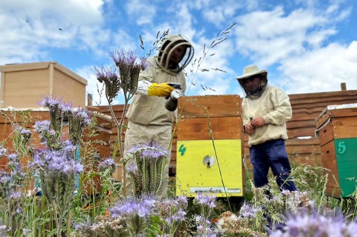 Бджолярі, овочівники та фермери Вінниці отримали фінансування з міського бюджету