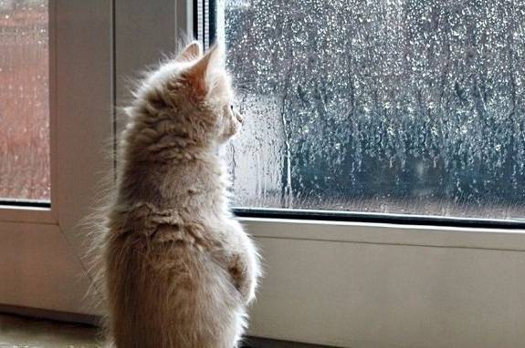 Морозні вихідні без снігу: у Вінниці вночі до -18°, на дорогах місцями ожеледиця