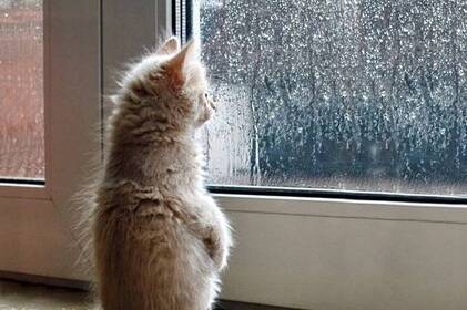 Морозні вихідні без снігу: у Вінниці вночі до -18°, на дорогах місцями ожеледиця