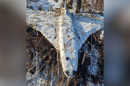 Мисливець натрапив на російський дрон: у Молдові знайшли «Герберу»
