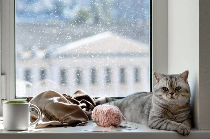 Туманні ранки й ожеледиця: у Вінниці триматиметься мороз до -16° уночі