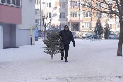 Не викидайте в баки: у Вінниці збирають ялинки та перетворюють їх на біопаливо