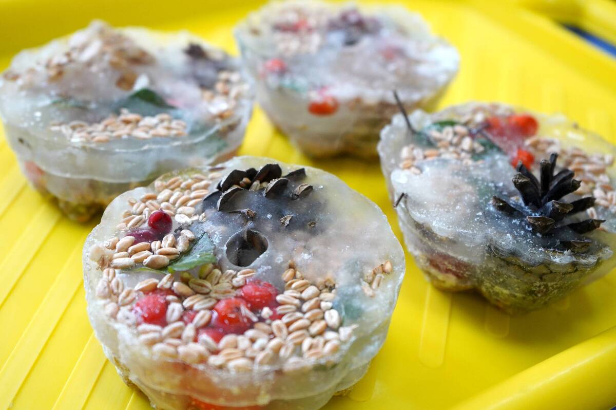 «Льодяники для птахів» у Вінниці: у «Гармонії» зробили екогодівнички власноруч