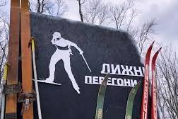 Лижний крос у Лісопарку: вінничан запрошують на обласні змагання