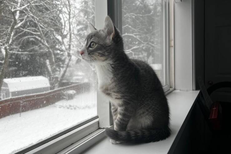 Від -11 уночі до +3 вдень: погодні гойдалки на Вінниччині 24–25 січня