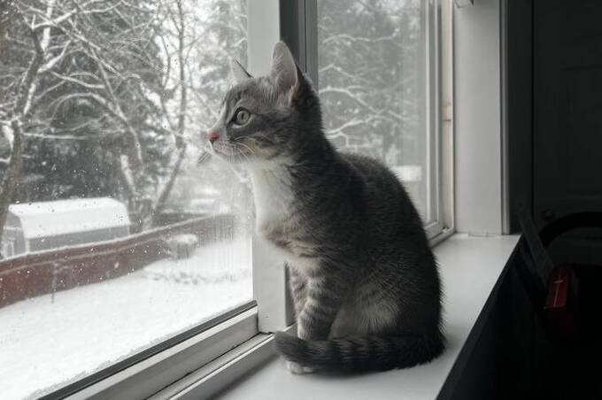 Від -11 уночі до +3 вдень: погодні гойдалки на Вінниччині 24–25 січня