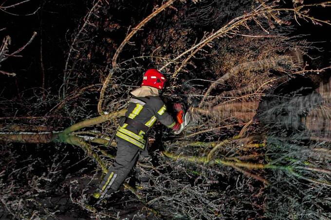 Ожеледь повалила дерева на Вінниччині: рятувальники 14 разів ліквідовували наслідки негоди