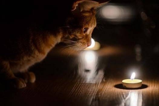 Увесь день без стабільного світла: що відомо про відключення на Вінниччині