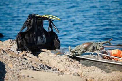 Скульптуру кота з поручнів Київського мосту знайшли водолази на дні річки