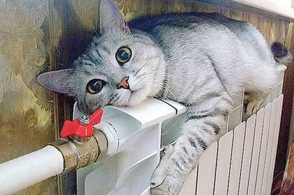 Морози посилюються: якою буде погода на Вінниччині 8–9 лютого