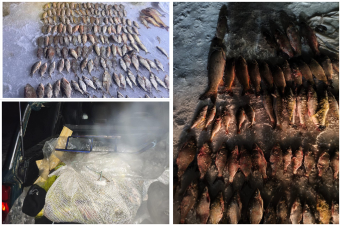 На Південному Бузі викрили браконьєрів: збитки сягнули сотень тисяч гривень