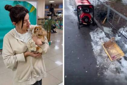 Небайдужі вінничани врятували декоративного кролика, якого залишили на морозі