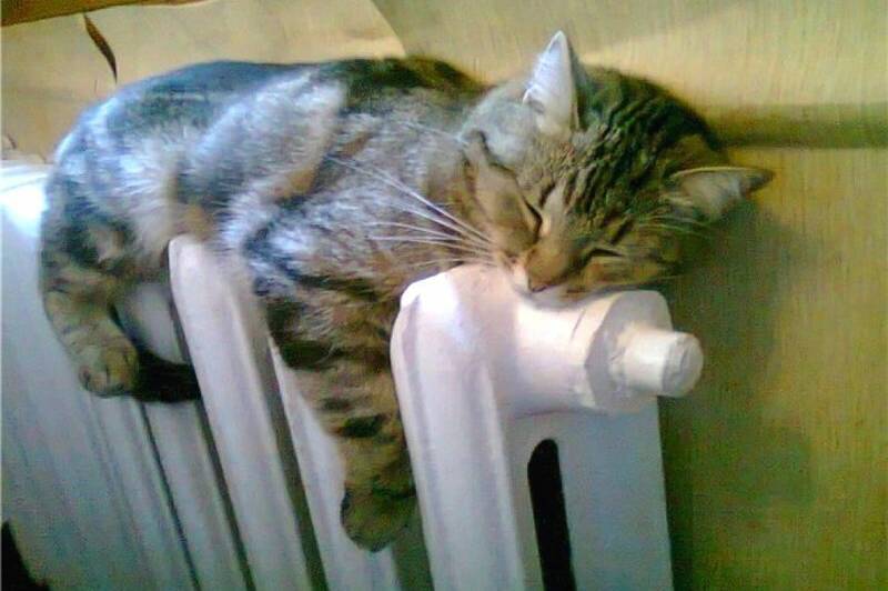 Морози посиляться: якою буде погода у Вінниці та області 20–21 лютого