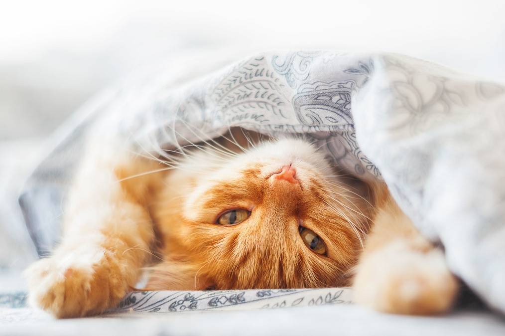 Морози до -16° і слизькі дороги: прогноз погоди у Вінниці на вихідні