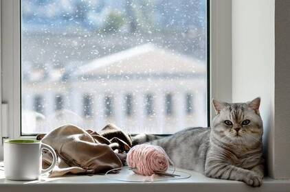 Мокрий сніг, дощ і ожеледиця: якою буде погода у Вінниці 23–24 лютого