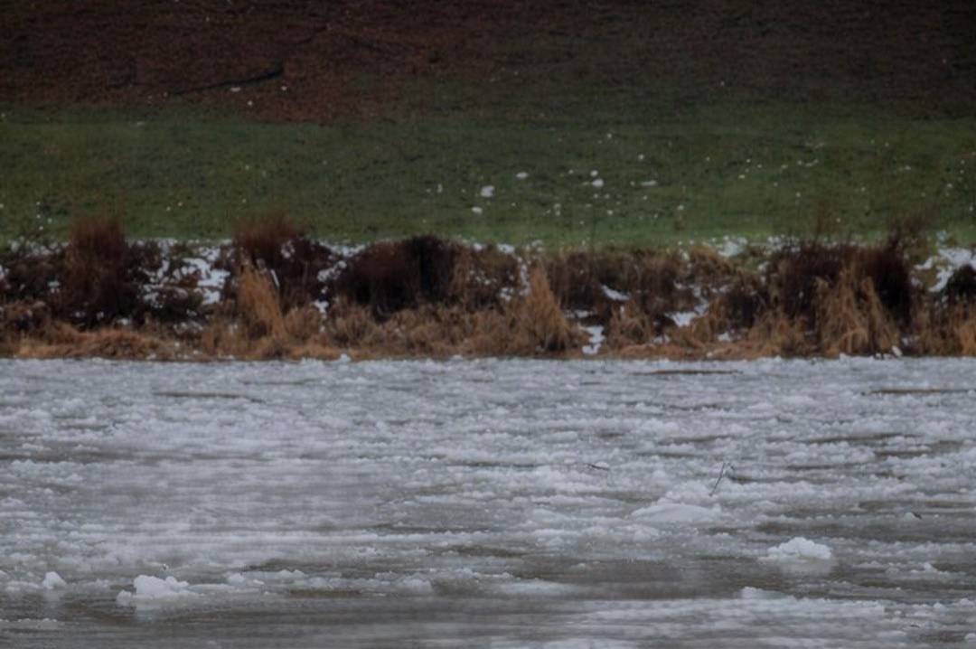 Відлига на Вінниччині: рівень води у притоках Дністра зростає, лід стає небезпечним