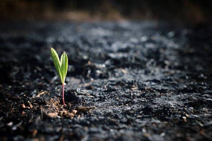 Майже 2,5 мільярда гривень збитків: як війна вдарила по довкіллю Вінниччини