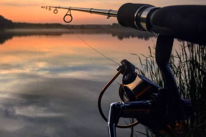 Сім видів риби, які у 2026 році можна ловити без обмежень: перелік