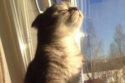 Морози вночі та ожеледиця на дорогах: якою буде погода на Вінниччині 27–28 лютого