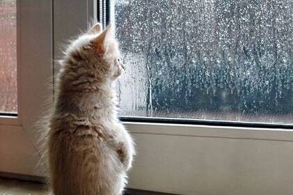 Мокрий сніг і ожеледиця, а потім до +11°: як зміниться погода на Вінниччині