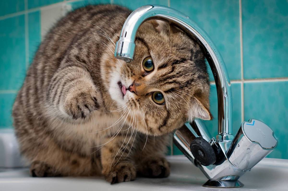 Де у Вінниці 3 березня не буде світла, води та опалення: перелік адрес