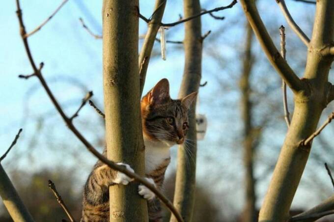 Весна набирає обертів: у Вінниці вдень до +11°, але вночі ще мороз