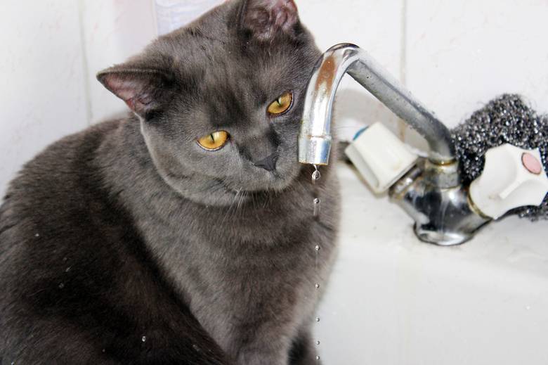 Ремонт водогону у Вінниці: де 5 березня не буде води