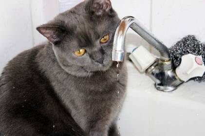 Ремонт водогону у Вінниці: де 5 березня не буде води