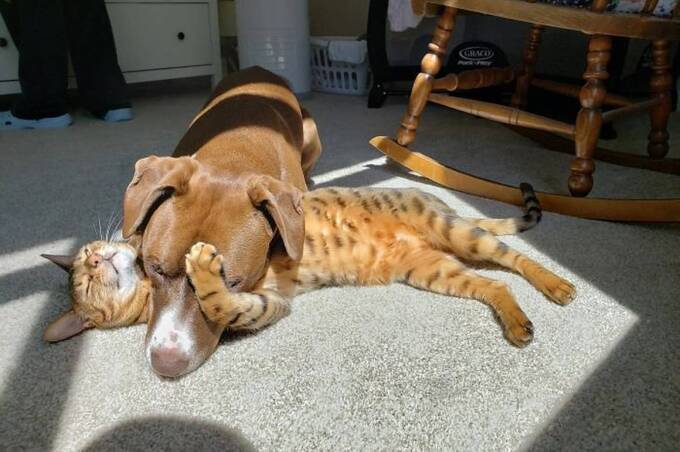 Весняне тепло до +16°: якою буде погода на Вінниччині 11 та 12 березня