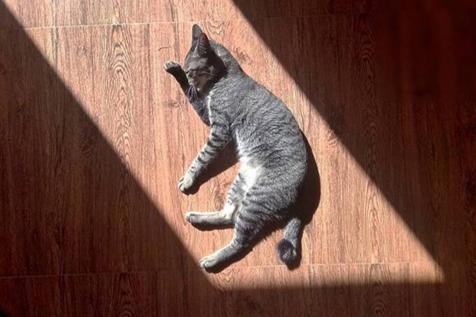 До +17°: якою буде погода на Вінниччині 12–13 березня