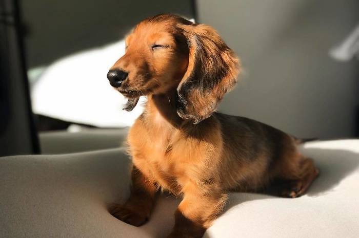 До +18° на Вінниччині: якою буде погода 13–14 березня