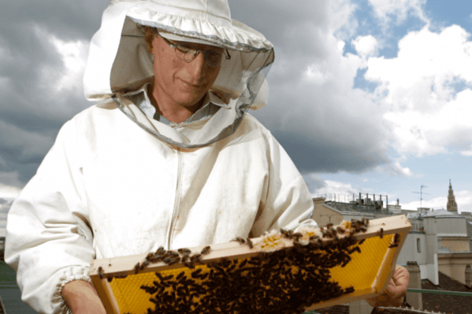 Фермерство, ярмарки та підтримка пасічників: як у Вінницькій громаді розвивають аграрний сектор