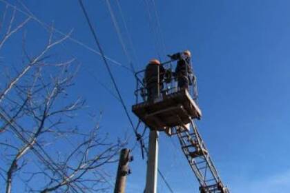 Вінницькі енергетики активно розчищають дерева в охоронних зонах електромереж