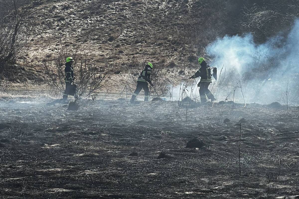 У Вінницькій області за добу вигоріло понад два гектари сухостою