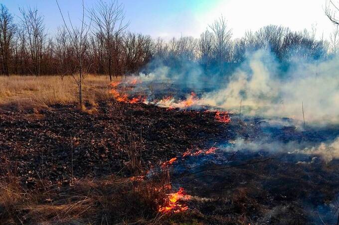 Вогонь знищив понад 6 гектарів екосистем на Вінниччині (фото)
